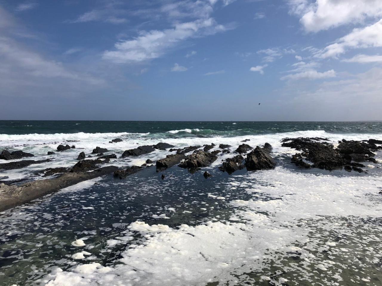 Sea Point Inn Cape Town Dış mekan fotoğraf